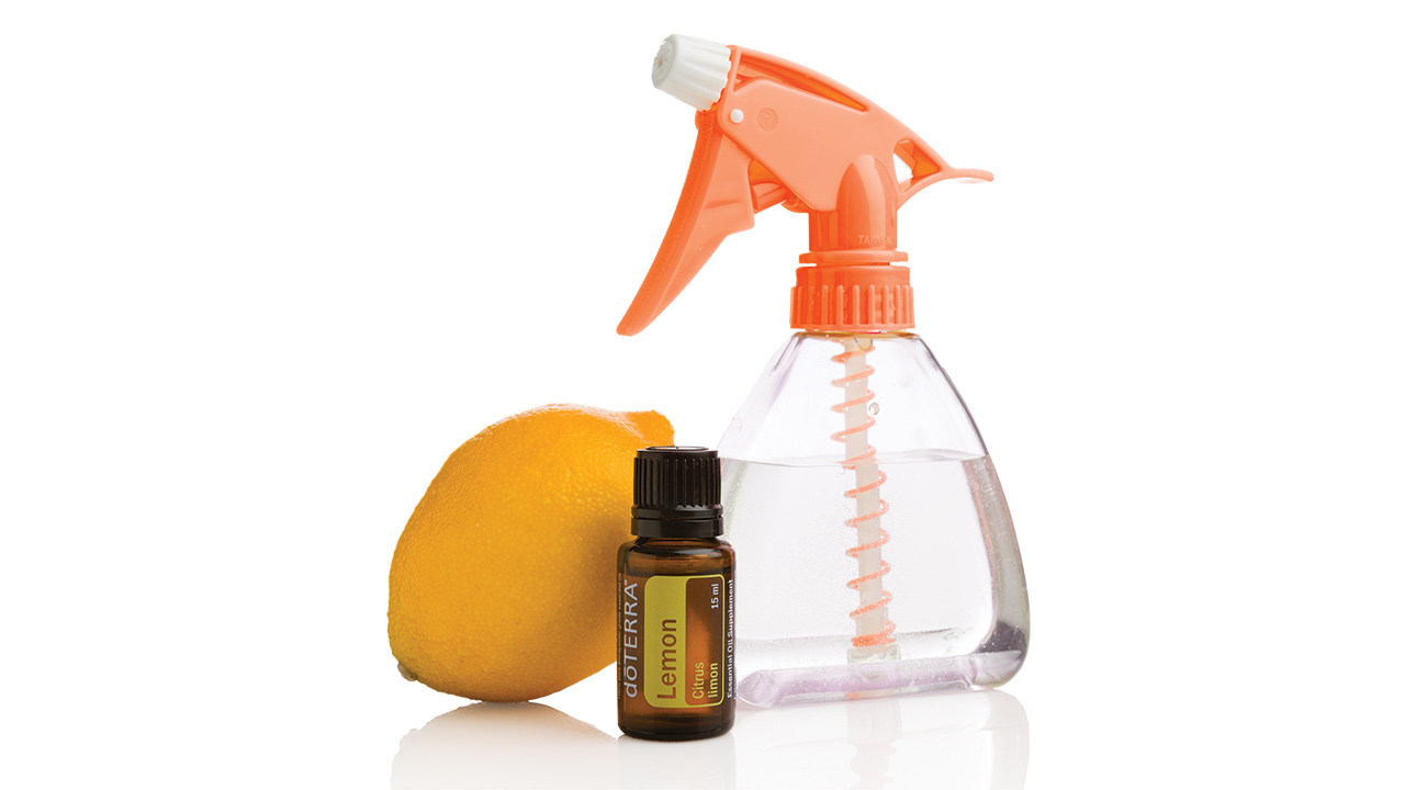 Faça o seu Produto de Limpeza 100% Natural